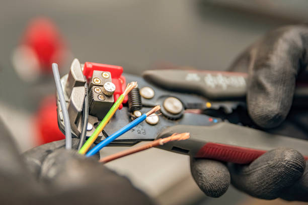 Best Local Electrician Companies  in Carlsbad, NM