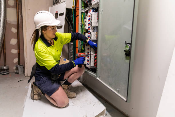 Best Electrical System Inspection  in Carlsbad, NM