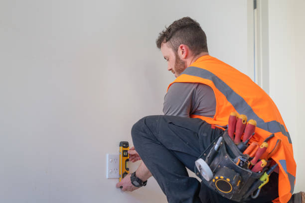 Best Electric Panel Repair  in Carlsbad, NM